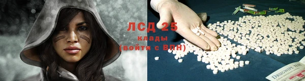 крисы Верхний Тагил