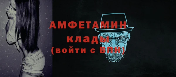 крисы Верхний Тагил