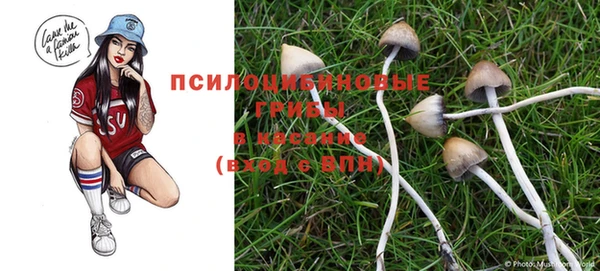 крисы Верхний Тагил